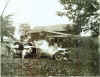1905_E_1.jpg (62509 bytes)
