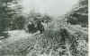 1906_F_S.jpg (77740 bytes)